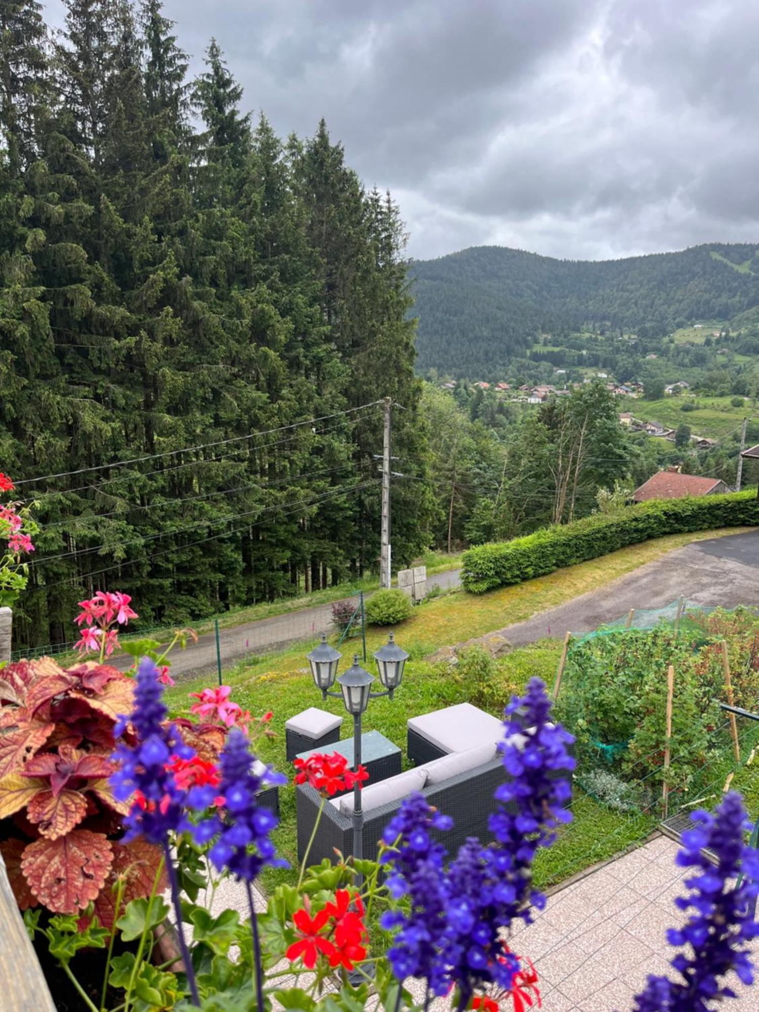 Au 21 Vosgien Bed and Breakfast Ventron Buitenkant foto
